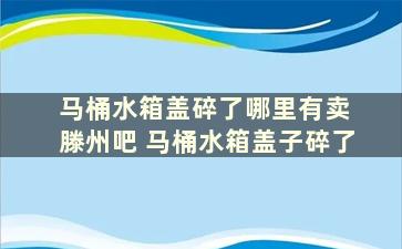 马桶水箱盖碎了哪里有卖 滕州吧 马桶水箱盖子碎了